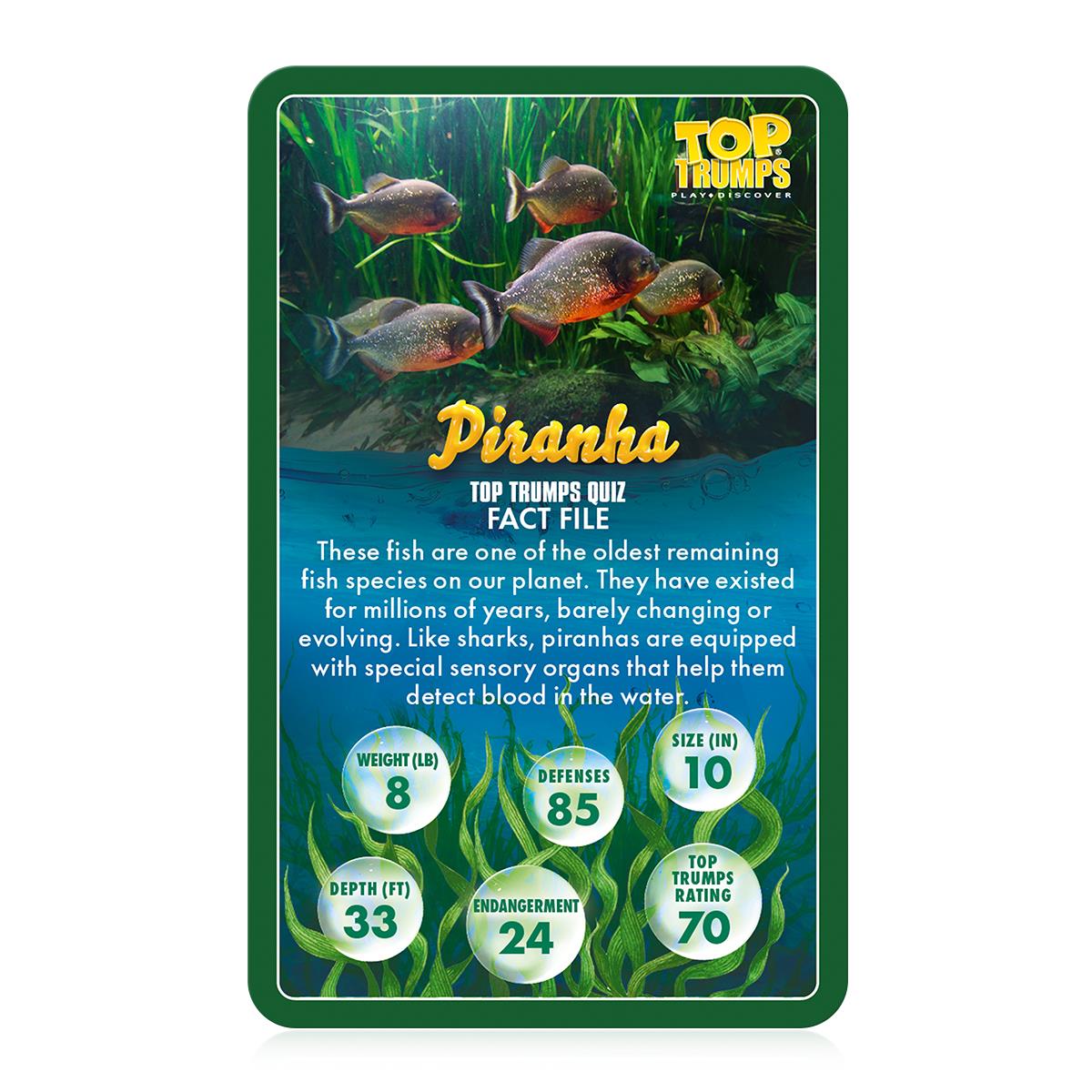 Sealife in Danger Top Trumps Card Game | Winning Moves UK