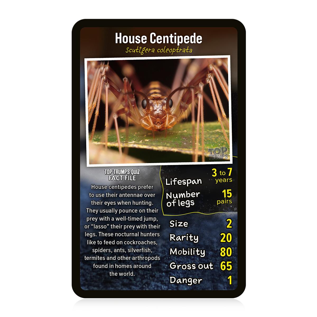 Creepy Crawlies Top Trumps Card Game | Winning Moves UK