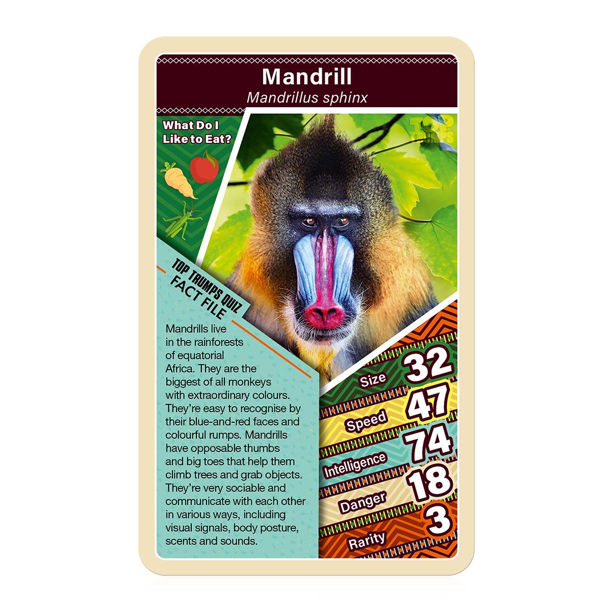 African Wildlife Top Trumps Card Game | Winning Moves UK