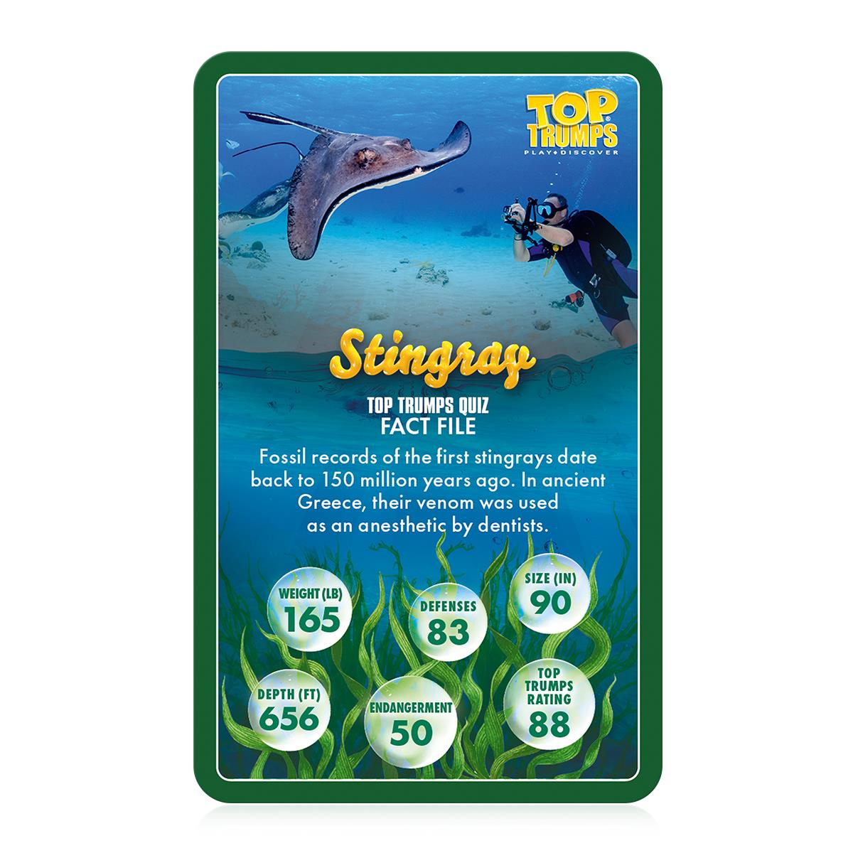 Sealife in Danger Top Trumps Card Game | Winning Moves UK