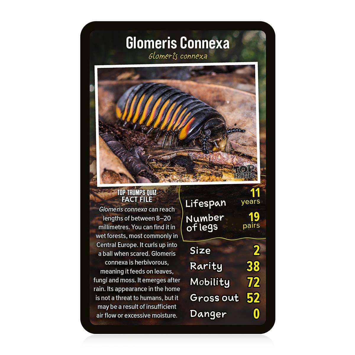 Creepy Crawlies Top Trumps Card Game | Winning Moves UK