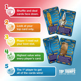 Ancient Egypt 'Tutankhamun and the Golden Age of the Pharaohs' Top Trumps Limited Edition Card Game | Winning Moves UK