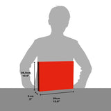 World Football Stars 1000 Piece Jigsaw Puzzle (New)