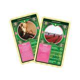 Wicked Top Trumps Card Game