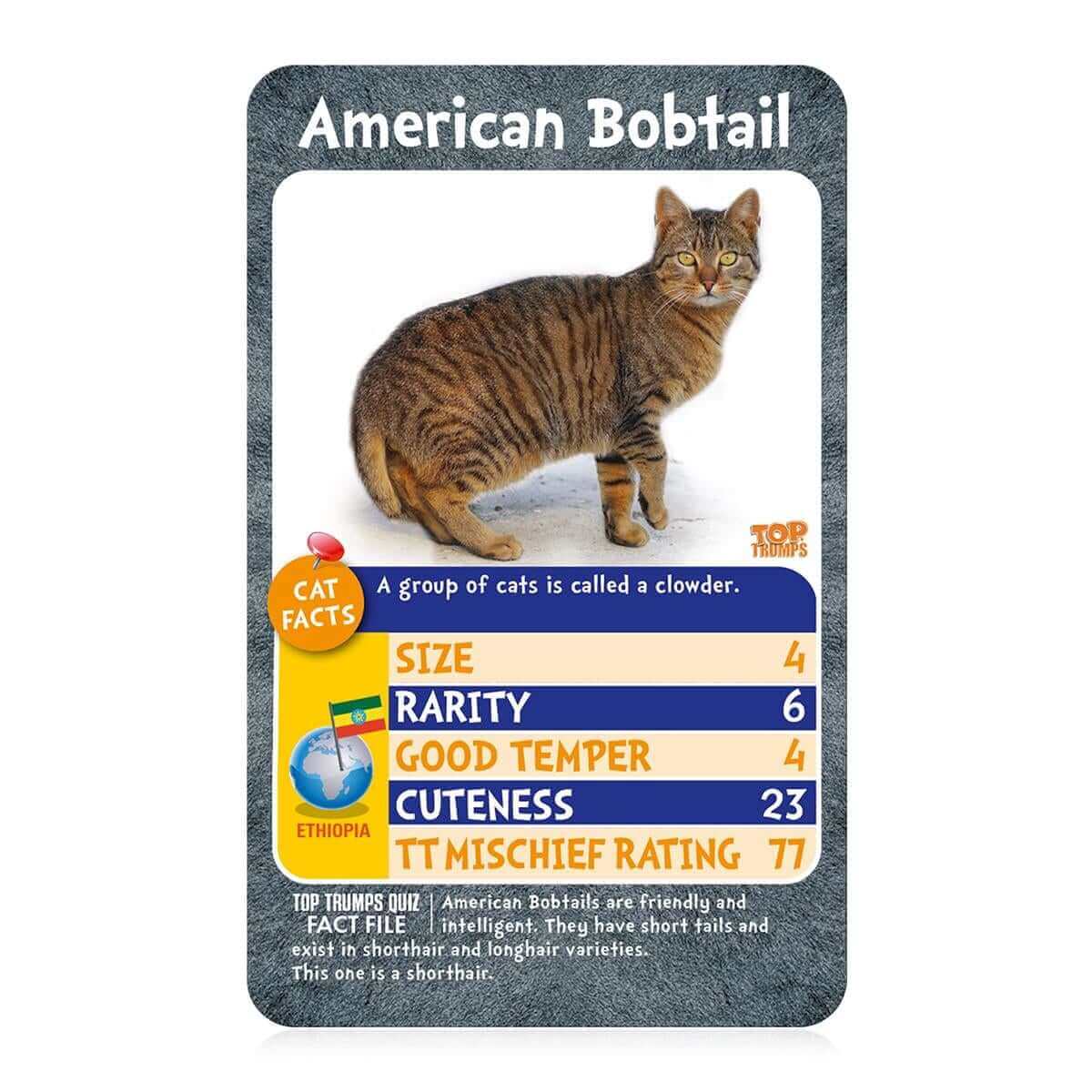 Cats Top Trumps Card Game