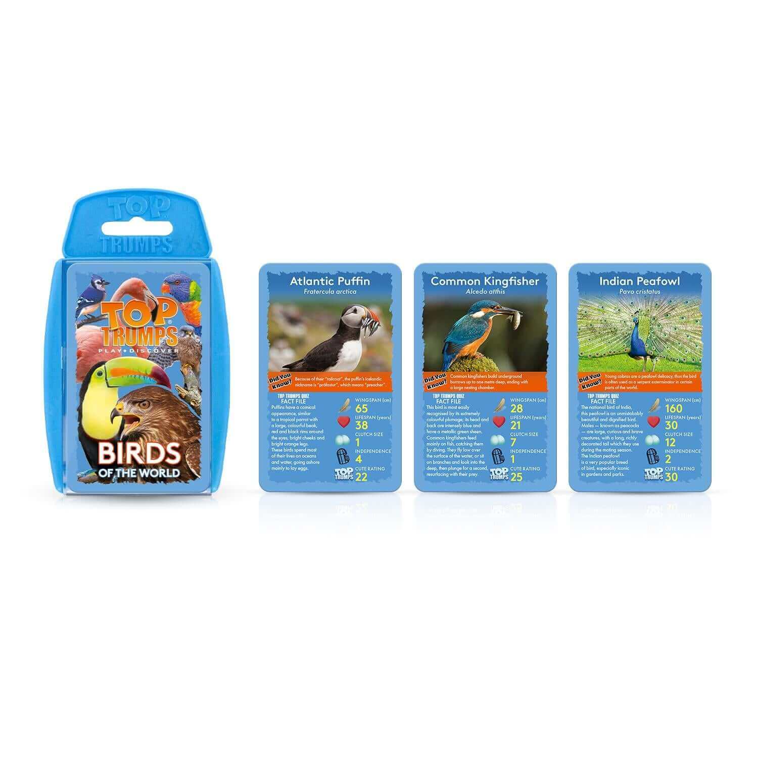 Birds Top Trumps Card Game | Winning Moves UK