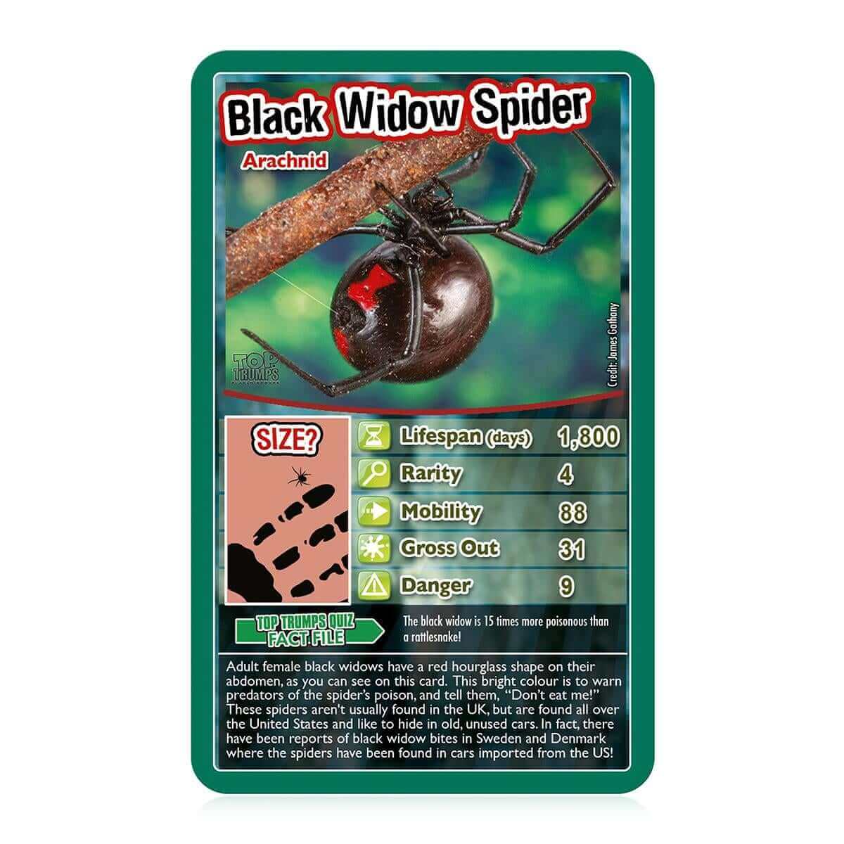 Bugs Top Trumps Card Game