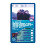 Finding Dory Top Trumps Card Game